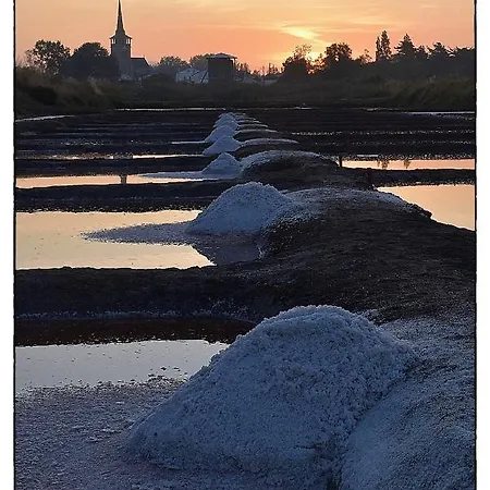 La Perle Du Marais L'Ile-d'Olonne